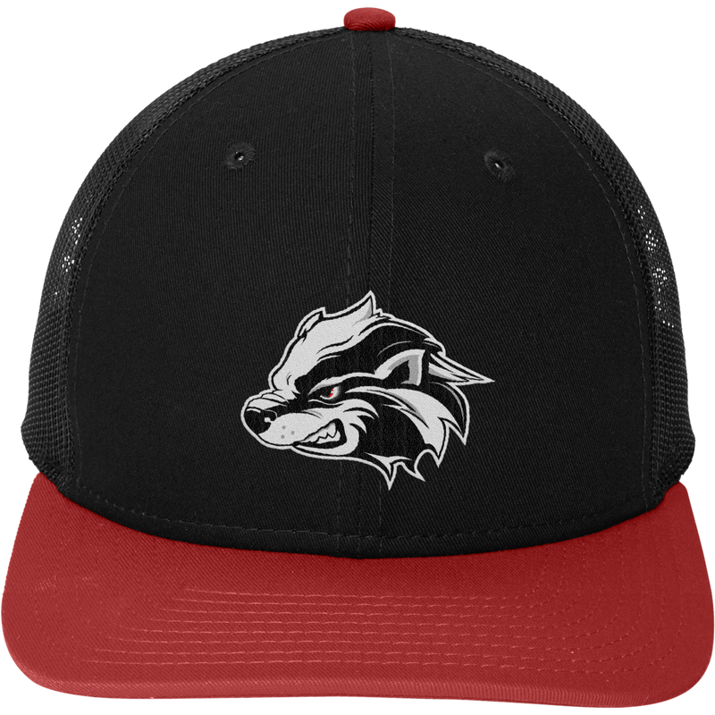 Allegheny Badgers New Era Snapback Low Profile Trucker Cap