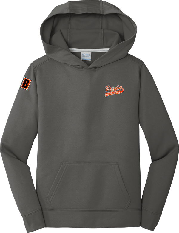 Biggby Coffee AAA Youth Performance Fleece Pullover Hooded Sweatshirt